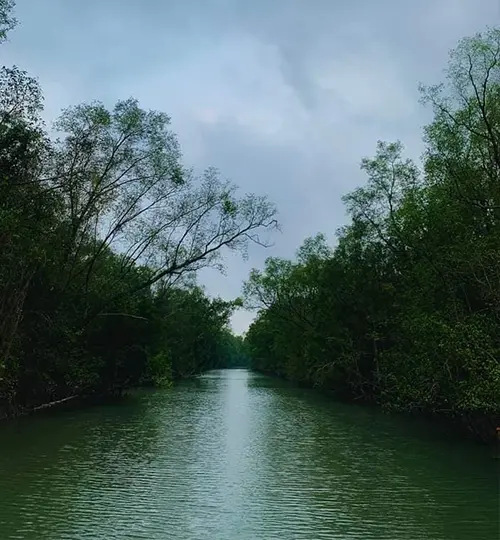 Cruise-through-Pakhir-Khal