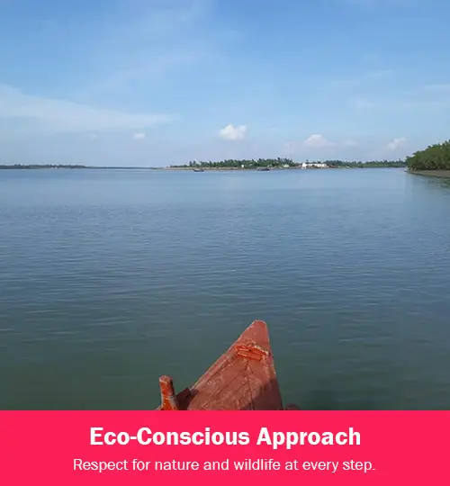 eco conscious approach