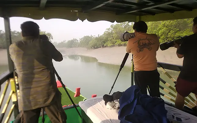 sundarban wildlife photography tour